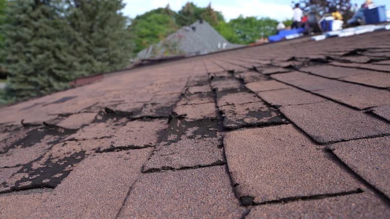 Fast & Reliable Emergency Roof Repairs in St Augustine Shores, FL
