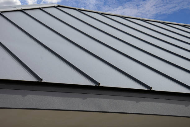 Best Gutter Installation and Repair  in St Augustine Shores, FL